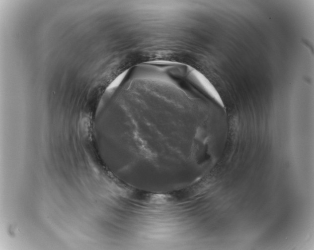 X0000102540222200808291849