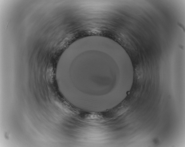 X0000102540223200808291849