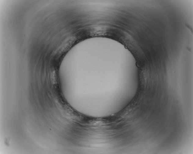 X0000102540224200808291849