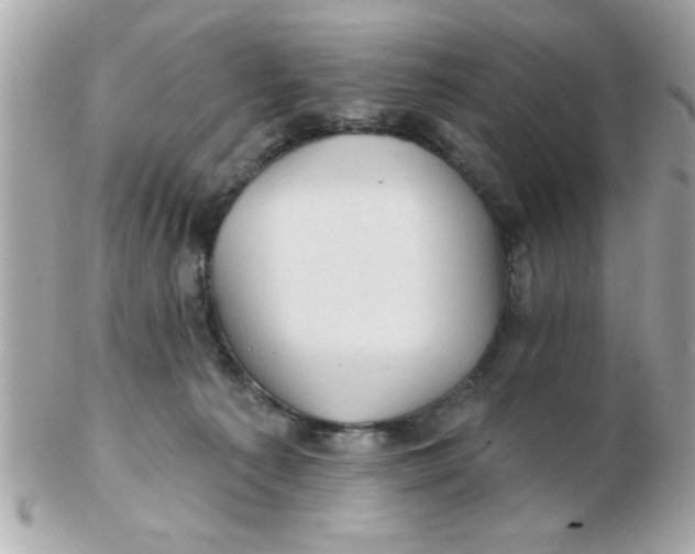 X0000102540225200808291849