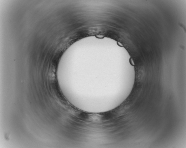 X0000102540226200808291849