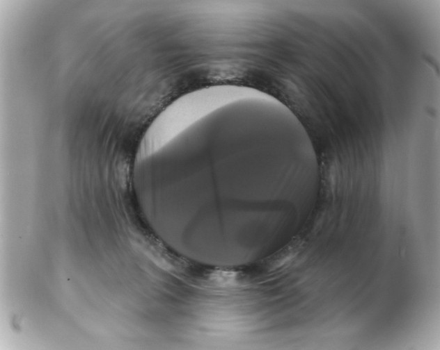 X0000102540227200808291849