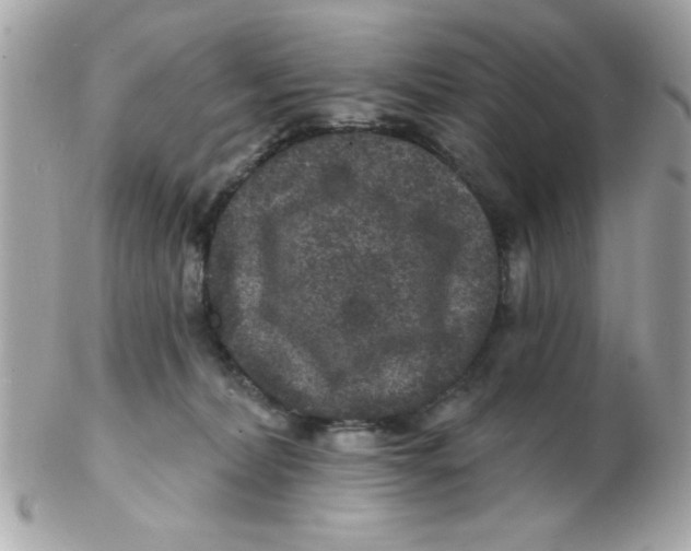 X0000102540228200808291849