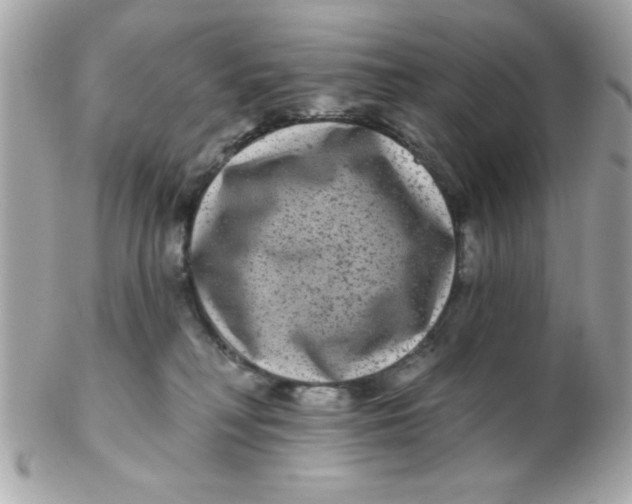 X0000102540230200808291849