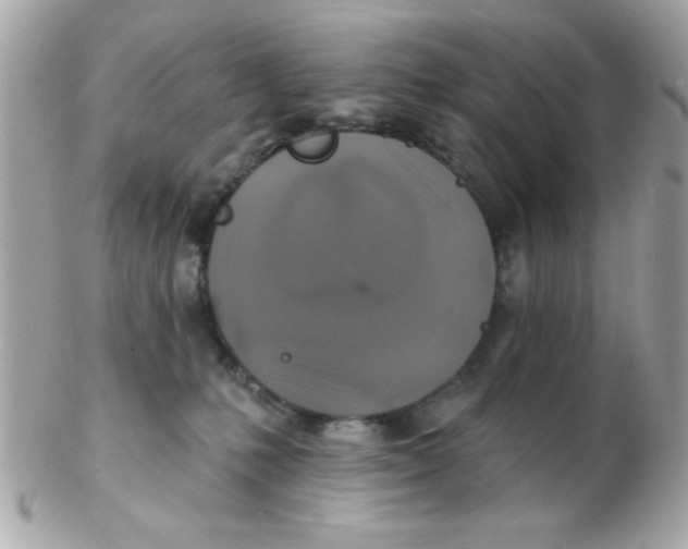 X0000102540231200808291849