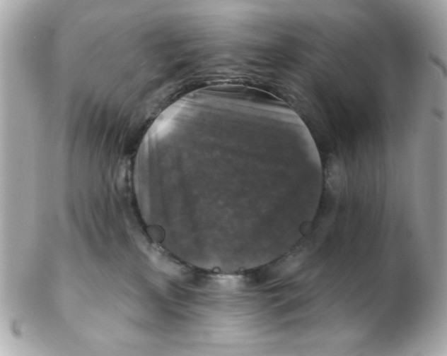 X0000102540233200808291849