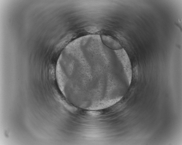 X0000102540234200808291849