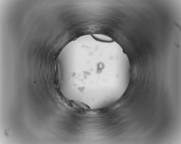 X0000102540236200808291849