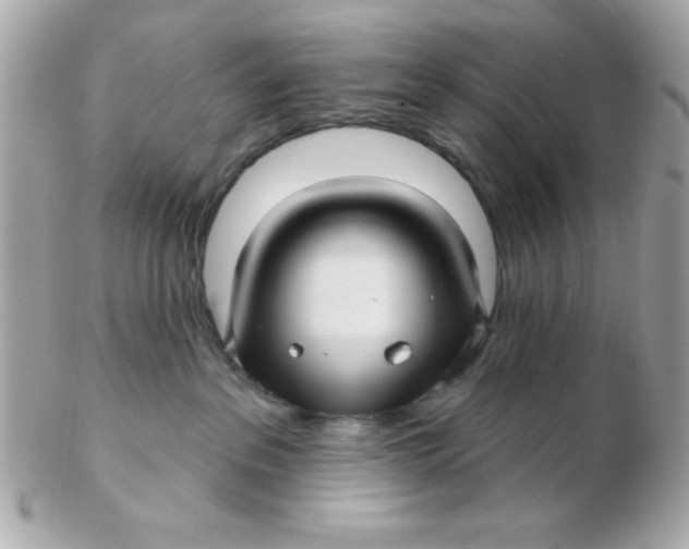 X0000102540237200808291849