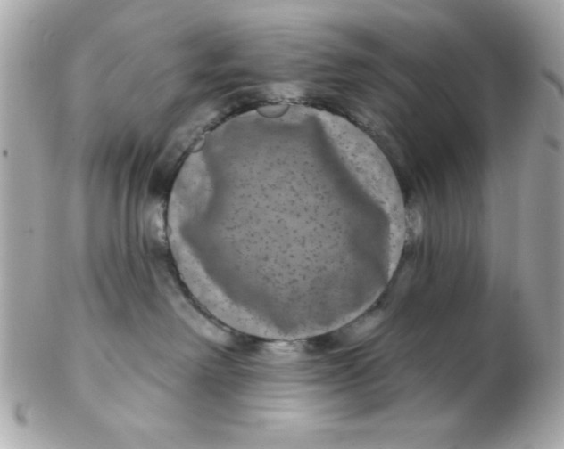 X0000102540238200808291849