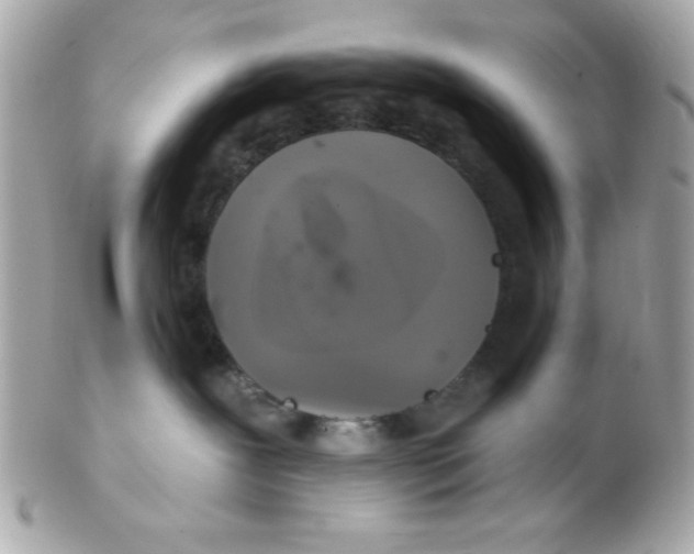 X0000102540239200808291849