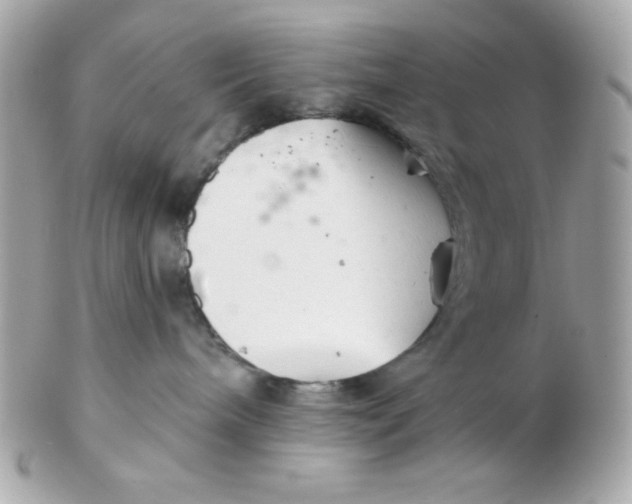 X0000102540240200808291849