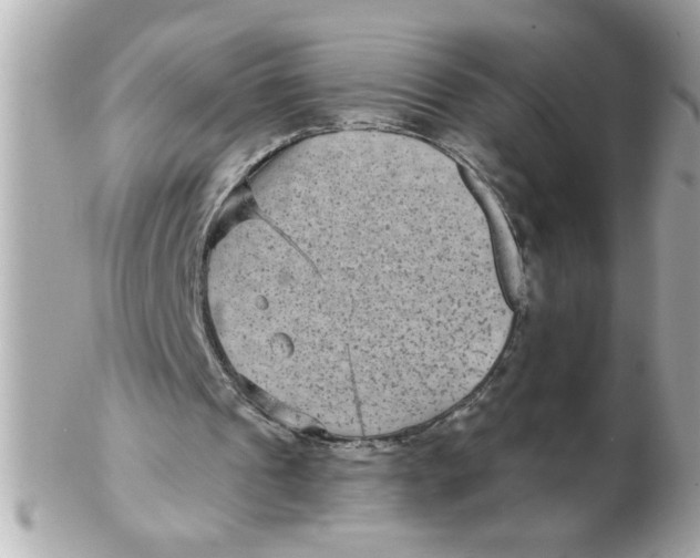 X0000102540241200808291848