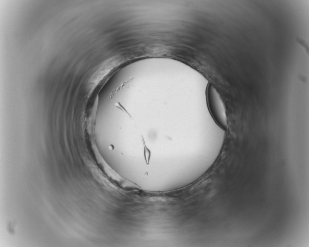 X0000102540242200808291848