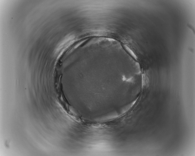 X0000102540243200808291848