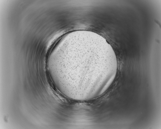 X0000102540244200808291848