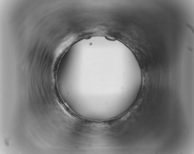 X0000102540245200808291848