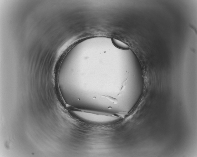 X0000102540246200808291848