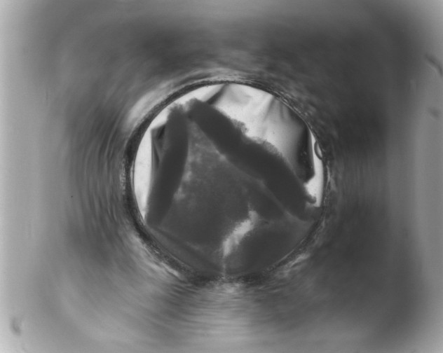 X0000102540247200808291848