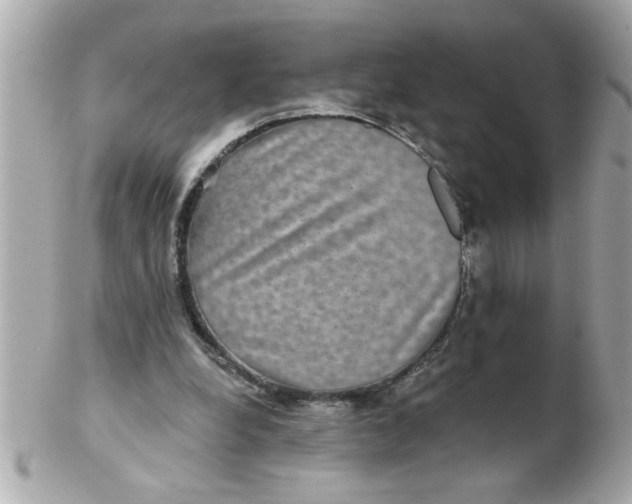 X0000102540248200808291848