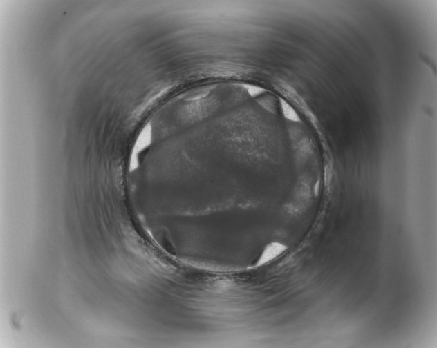 X0000102540249200808291848