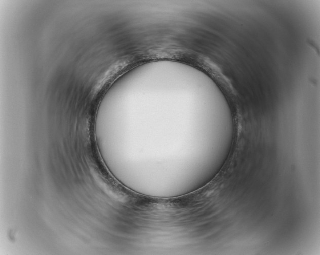 X0000102540250200808291848