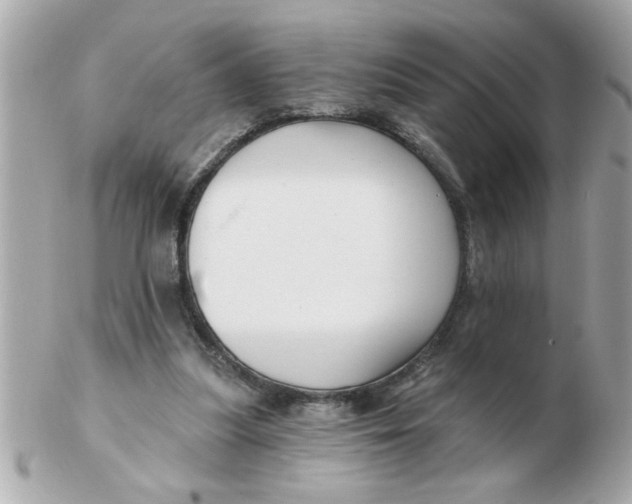 X0000102540251200808291848