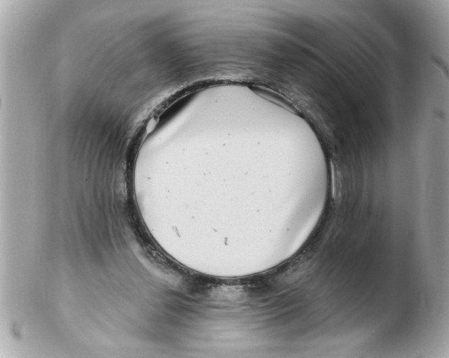 X0000102540252200808291848