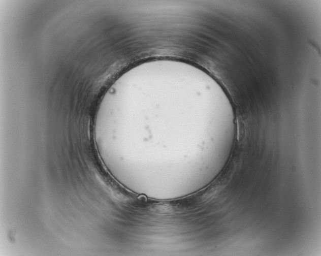 X0000102540253200808291848