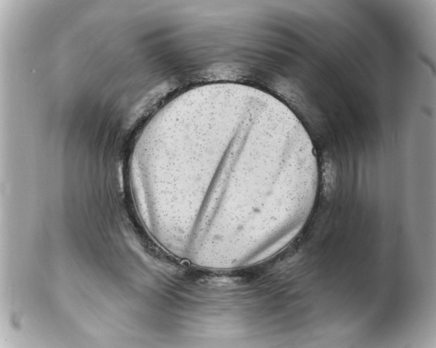 X0000102540254200808291848