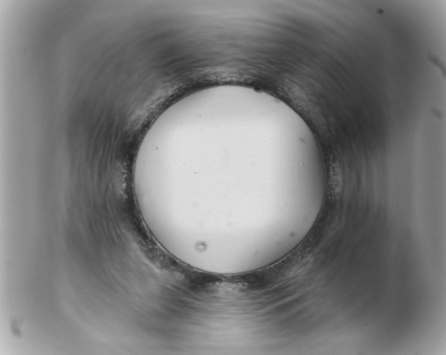 X0000102540255200808291848