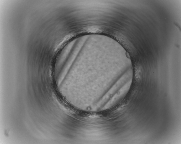 X0000102540256200808291848