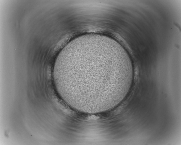 X0000102540257200808291848