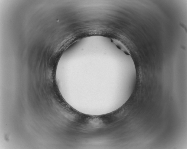 X0000102540258200808291848