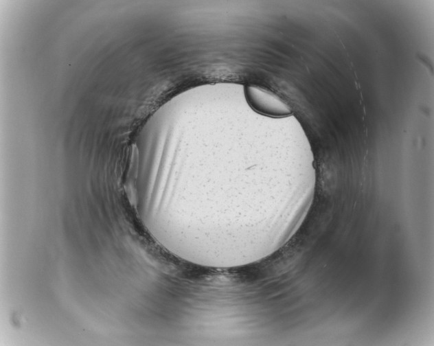 X0000102540259200808291848