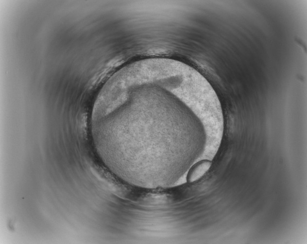 X0000102540260200808291848