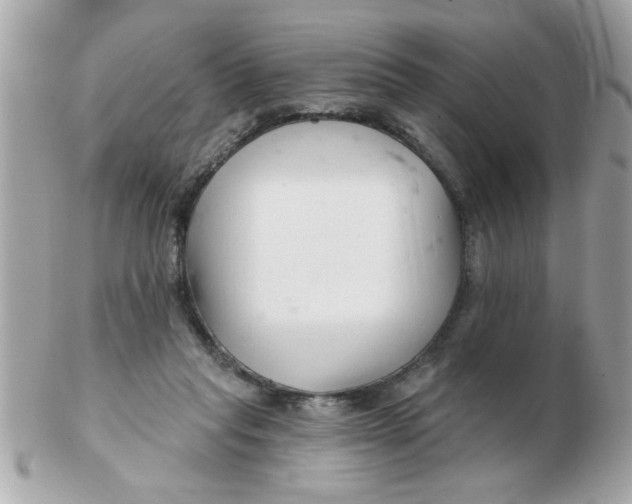 X0000102540261200808291848