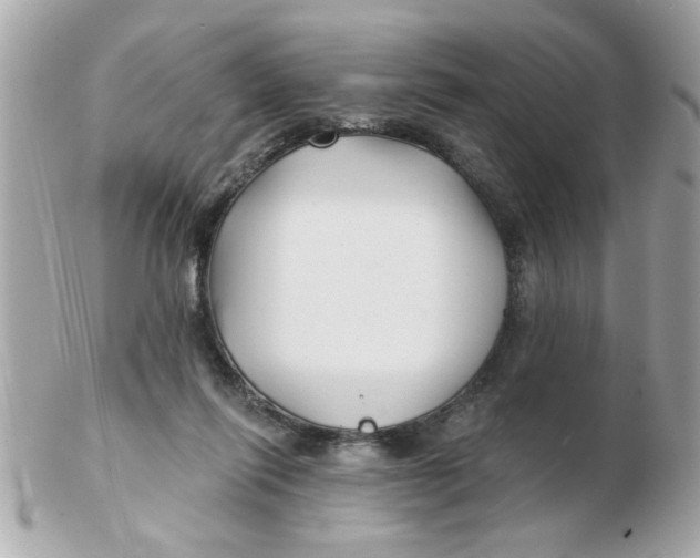 X0000102540262200808291848