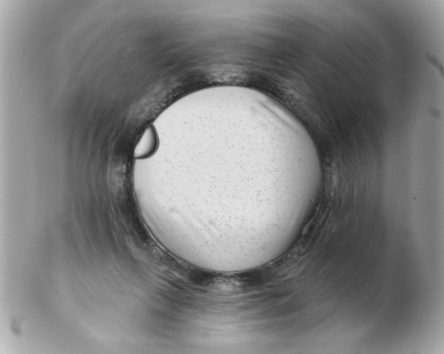 X0000102540263200808291848