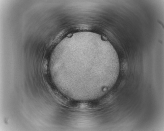 X0000102540264200808291848