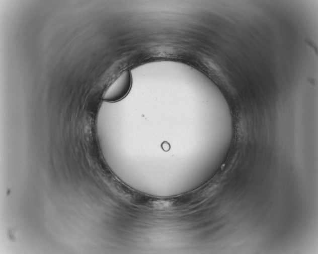 X0000102540265200808291848