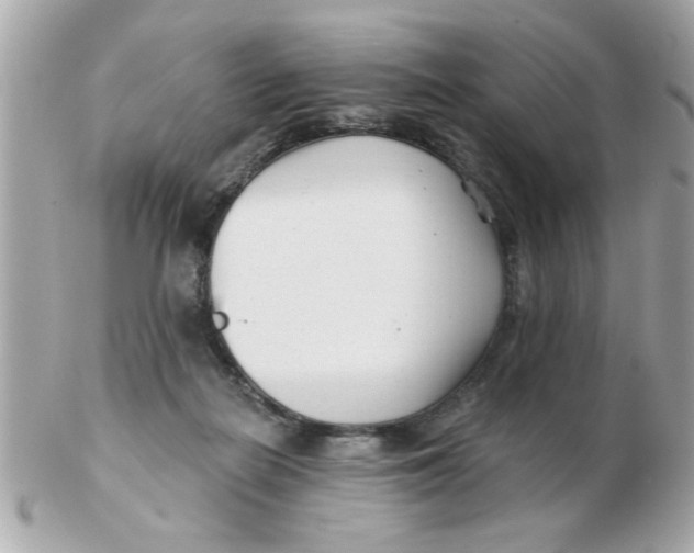 X0000102540266200808291848