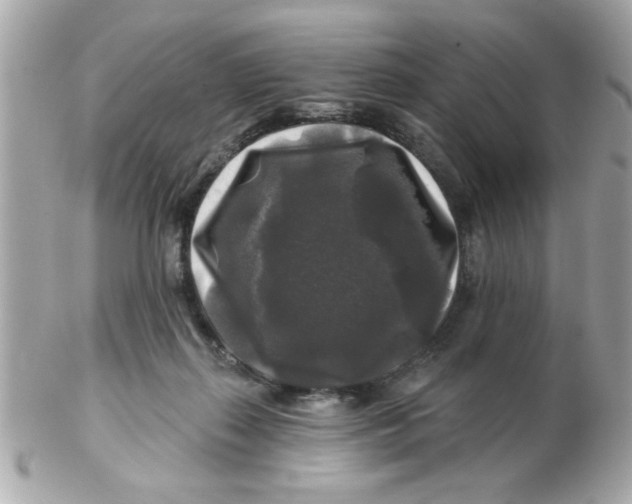 X0000102540267200808291848