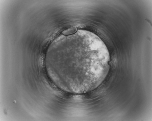 X0000102540268200808291848