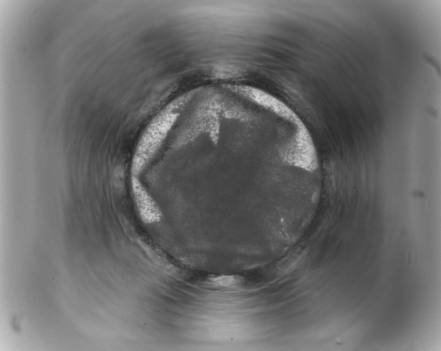 X0000102540269200808291848