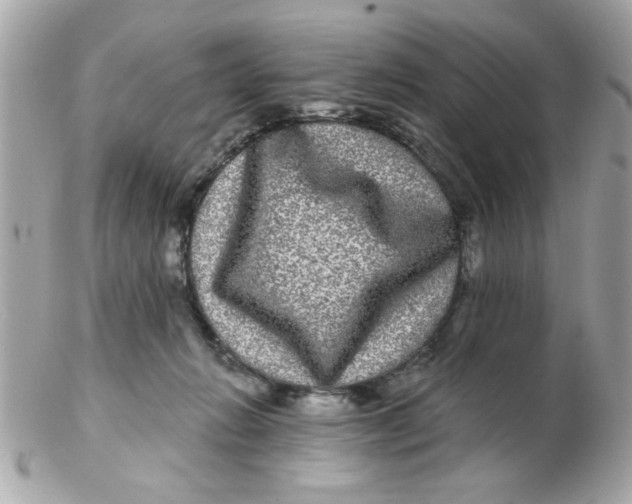 X0000102540270200808291848