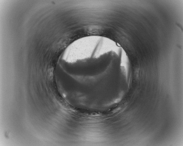 X0000102540271200808291848