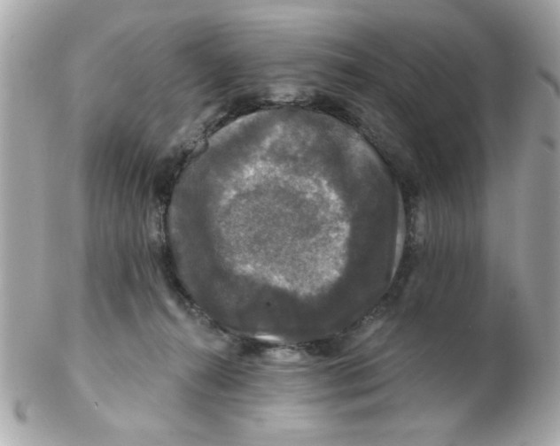 X0000102540272200808291848