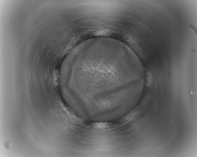 X0000102540273200808291848