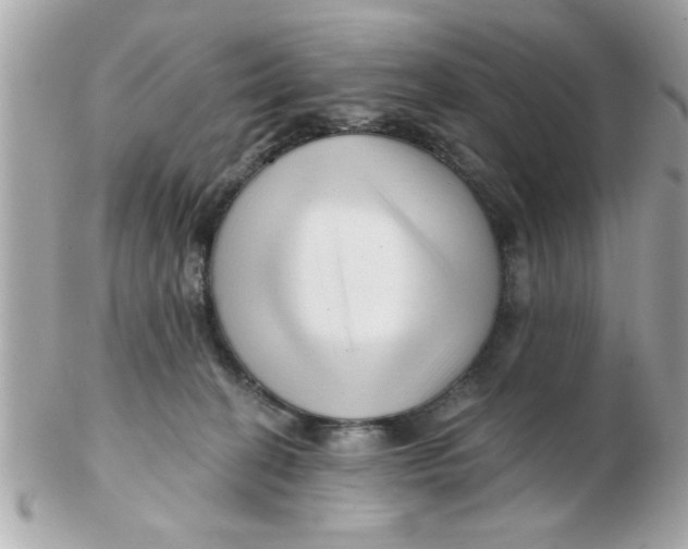 X0000102540274200808291848